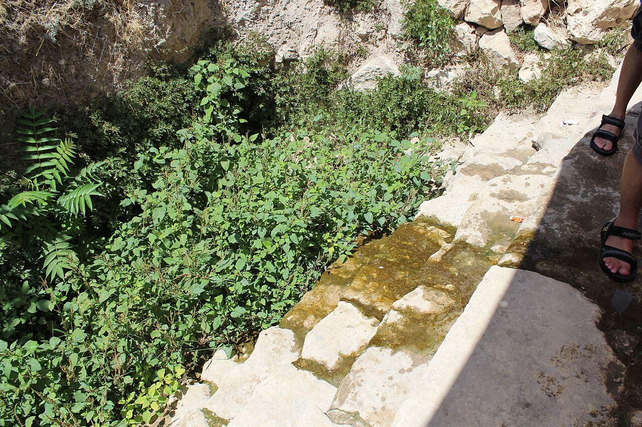 The Siloam steps — where the man born blind was sent to wash.
